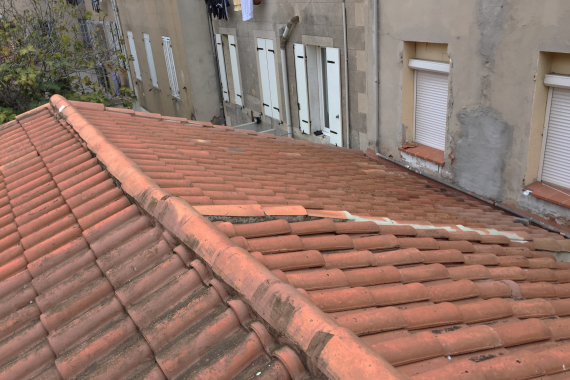 IMG_3270-570x380